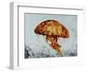 Jelly fish-Sydney Edmunds-Framed Premium Giclee Print