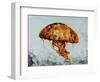 Jelly Fish-Sydney Edmunds-Framed Premium Giclee Print