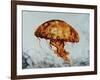 Jelly Fish-Sydney Edmunds-Framed Giclee Print