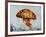 Jelly Fish-Sydney Edmunds-Framed Giclee Print