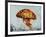 Jelly Fish-Sydney Edmunds-Framed Giclee Print