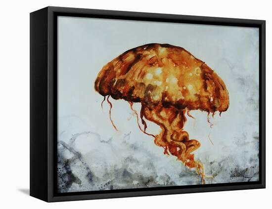 Jelly Fish-Sydney Edmunds-Framed Stretched Canvas