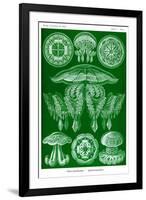 Jelly Fish-Ernst Haeckel-Framed Art Print