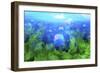 Jelly Fish-Ata Alishahi-Framed Giclee Print