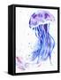 Jelly Jelly-Kimberly Allen-Framed Stretched Canvas