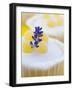 Jelly - Muffin with Lavender, Detail-C. Nidhoff-Lang-Framed Photographic Print