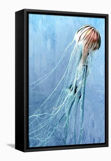 Jelly Swim-Kimberly Allen-Framed Stretched Canvas