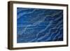 Jelly Tentacles-Martin Nasim-Framed Giclee Print