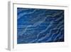 Jelly Tentacles-Martin Nasim-Framed Giclee Print