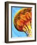 Jelly-Martin Nasim-Framed Premium Giclee Print