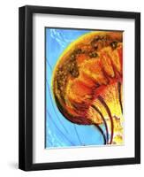 Jelly-Martin Nasim-Framed Premium Giclee Print