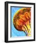 Jelly-Martin Nasim-Framed Premium Giclee Print