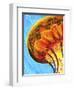 Jelly-Martin Nasim-Framed Premium Giclee Print