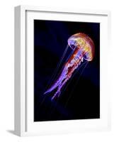 Jellyen-Henry Jager-Framed Giclee Print