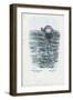 Jellyfish, 1863-79-Raimundo Petraroja-Framed Giclee Print