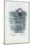 Jellyfish, 1863-79-Raimundo Petraroja-Mounted Giclee Print