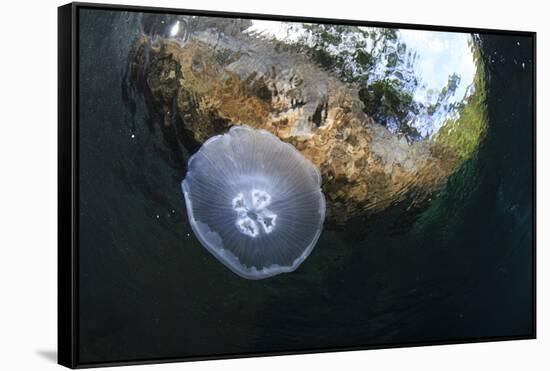 Jellyfish below the Surface-Bernard Radvaner-Framed Stretched Canvas