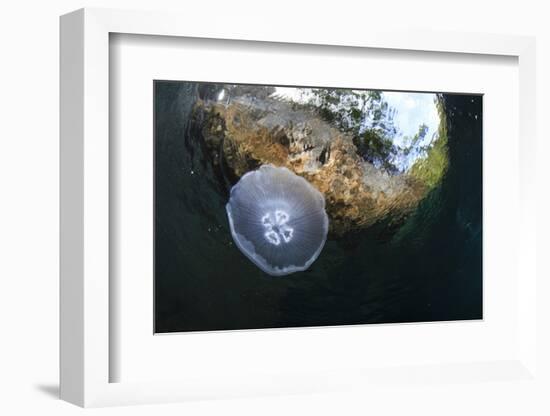 Jellyfish below the Surface-Bernard Radvaner-Framed Photographic Print