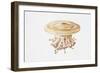Jellyfish (Cotylorhiza Tuberculata)-null-Framed Giclee Print