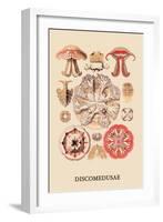 Jellyfish: Discomedusae-Ernst Haeckel-Framed Art Print