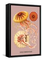 Jellyfish: Discomedusae-Ernst Haeckel-Framed Stretched Canvas