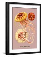 Jellyfish: Discomedusae-Ernst Haeckel-Framed Art Print