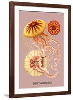 Jellyfish: Discomedusae-Ernst Haeckel-Framed Art Print