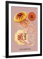 Jellyfish: Discomedusae-Ernst Haeckel-Framed Art Print