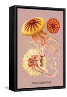 Jellyfish: Discomedusae-Ernst Haeckel-Framed Stretched Canvas