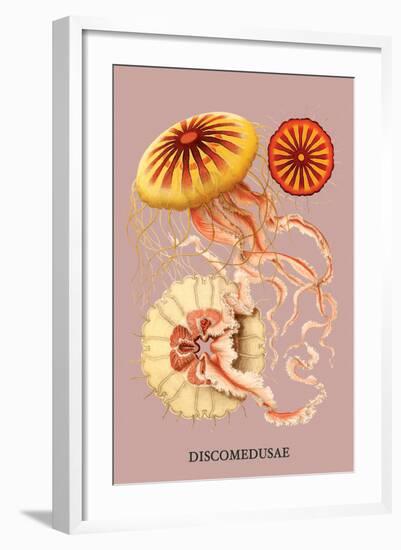 Jellyfish: Discomedusae-Ernst Haeckel-Framed Art Print