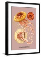 Jellyfish: Discomedusae-Ernst Haeckel-Framed Art Print