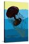 Jellyfish: Discomedusae-Ernst Haeckel-Stretched Canvas