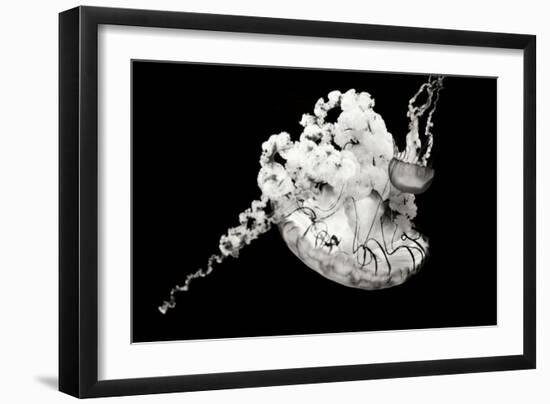 Jellyfish Glow VI-Erin Berzel-Framed Photographic Print