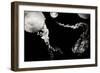 Jellyfish Glow VIII-Erin Berzel-Framed Photographic Print