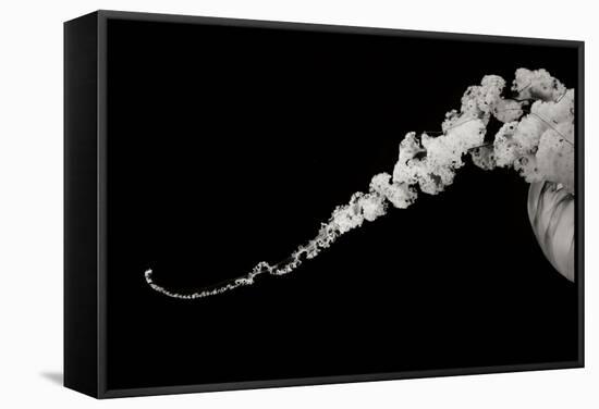 Jellyfish Glow X-Erin Berzel-Framed Stretched Canvas