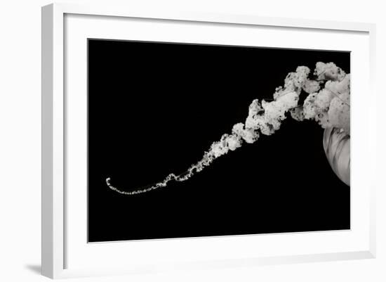 Jellyfish Glow X-Erin Berzel-Framed Photographic Print