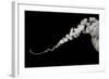 Jellyfish Glow X-Erin Berzel-Framed Photographic Print