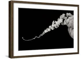 Jellyfish Glow X-Erin Berzel-Framed Photographic Print