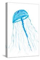 Jellyfish I-Julie DeRice-Stretched Canvas