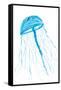 Jellyfish I-Julie DeRice-Framed Stretched Canvas