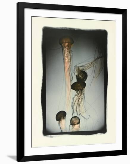 Jellyfish in Motion 1-Theo Westenberger-Framed Photographic Print