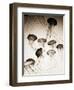 Jellyfish in Motion 3-Theo Westenberger-Framed Art Print