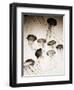 Jellyfish in Motion 3-Theo Westenberger-Framed Art Print