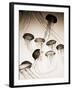 Jellyfish in Motion 3-Theo Westenberger-Framed Art Print