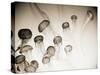 Jellyfish in Motion 4-Theo Westenberger-Stretched Canvas
