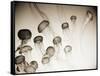 Jellyfish in Motion 4-Theo Westenberger-Framed Stretched Canvas