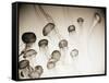 Jellyfish in Motion 4-Theo Westenberger-Framed Stretched Canvas