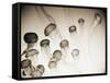 Jellyfish in Motion 4-Theo Westenberger-Framed Stretched Canvas