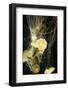 Jellyfish in the Ocean-alexandros33-Framed Photographic Print