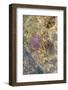 Jellyfish in the Sea Water-Ultrapro-Framed Photographic Print